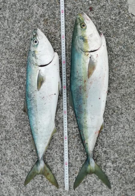 情報どおりでした